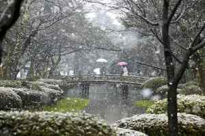 Claire Takacs, Kenrokuen Gardens, Japan. Winner International Garden Photographer of the Year